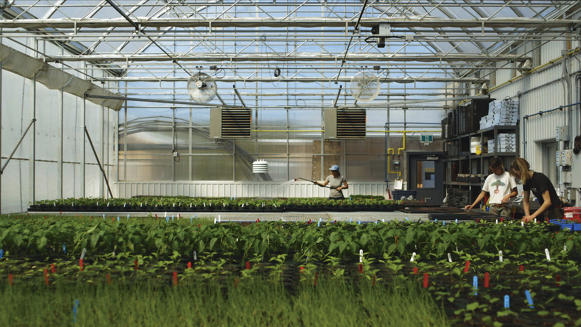 La ferme de l’avenir La Ferme des QuatreTemps Montérégie Terroir