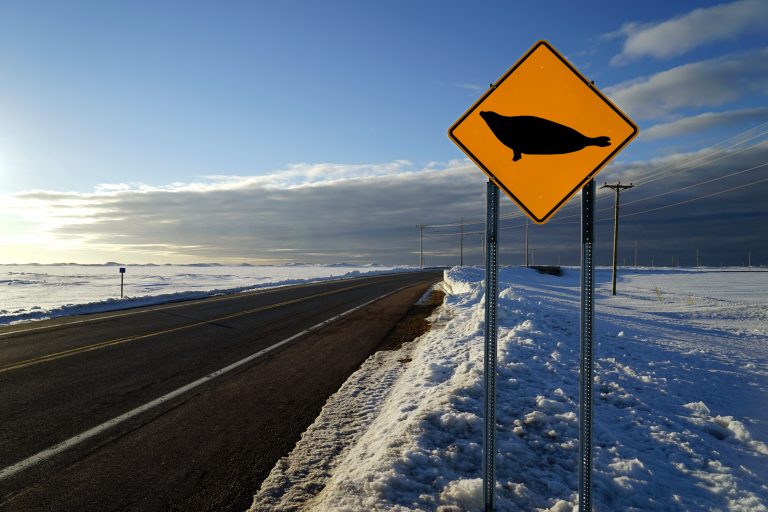 Découvrir le loupmarin GaspésieÎlesdelaMadeleine Terroir Tour du Québec