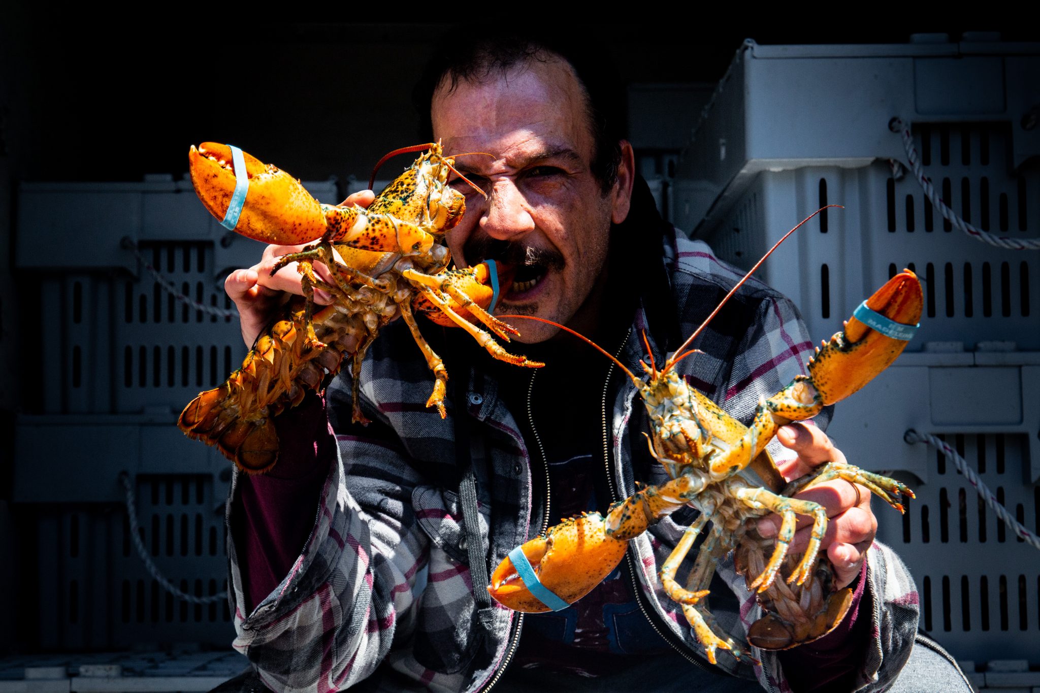 Découvrir le loupmarin GaspésieÎlesdelaMadeleine Terroir Tour du Québec