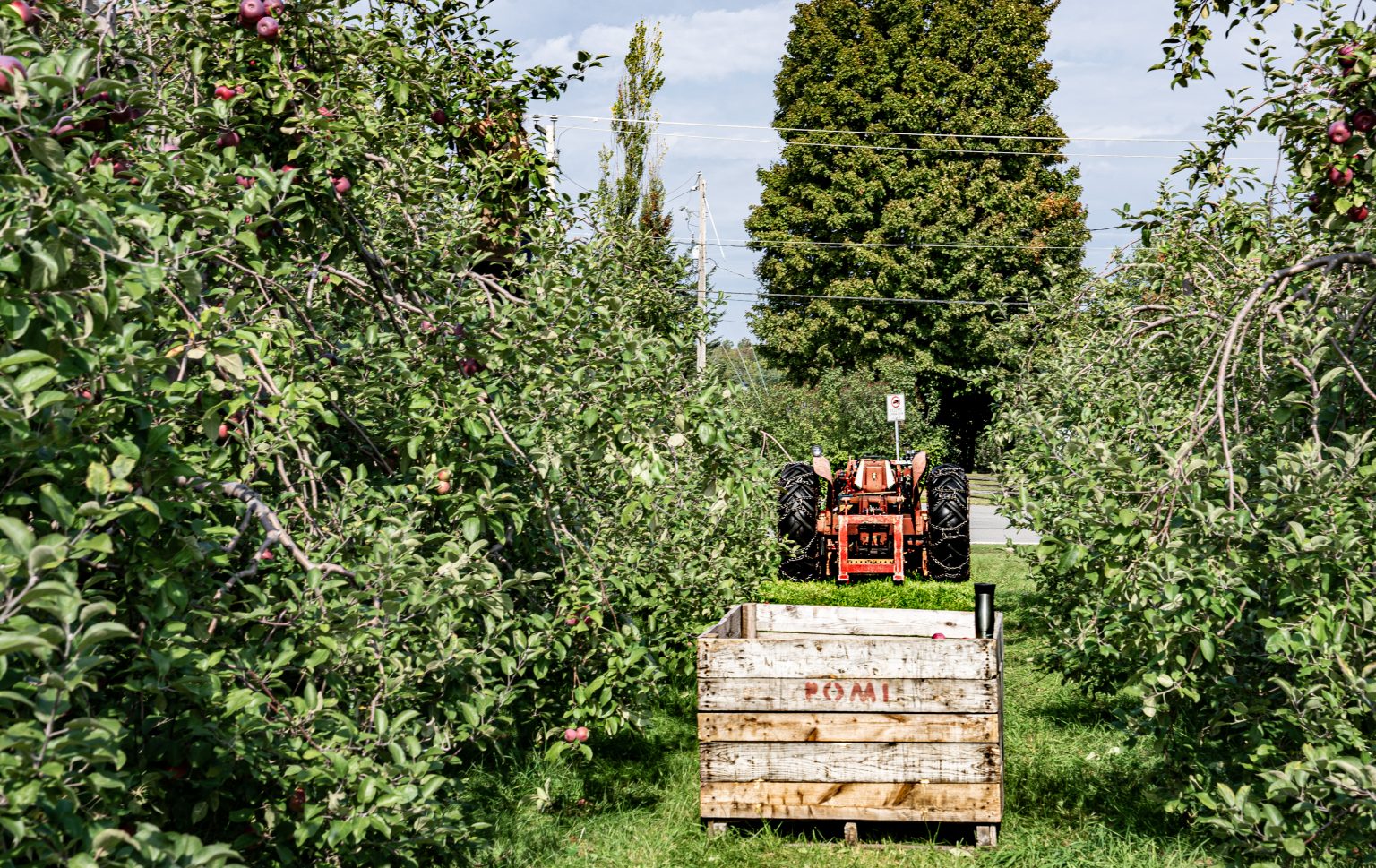 La ferme de l’avenir La Ferme des QuatreTemps Montérégie Terroir